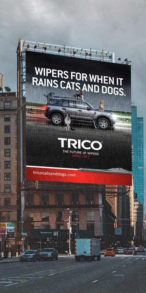 Trico Cats and Dogs: Case Study