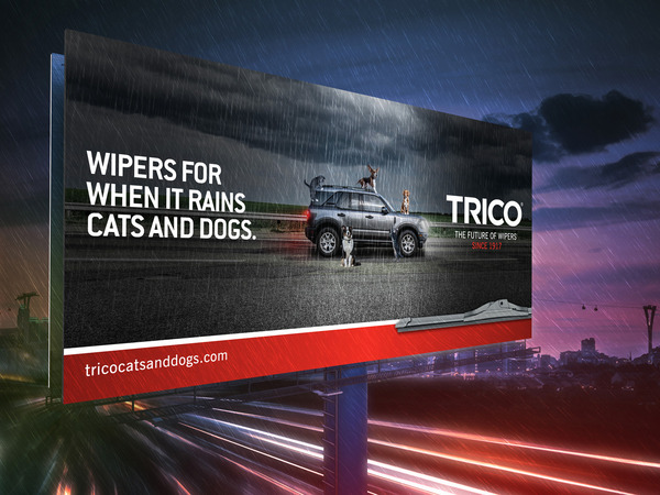TRICO Cats and Dogs National Awareness Campaign Case Study